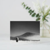 Carte Postale Autre nom commun : buffle. National de Wind Cave (Debout devant)