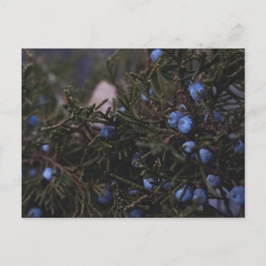 Carte Postale "Autres Mondes Bleus" (Devant)