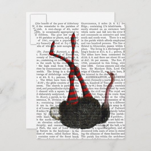 Carte Postale Autruche avec pattes rayées (Devant / Derrière)