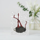 Carte Postale Autruche avec pattes rayées (Debout devant)