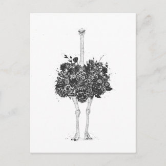 Carte Postale Autruche fleurie