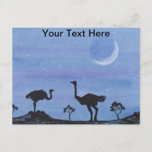 Carte Postale Autruches