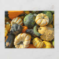 Autum des citrouilles et des gourdes