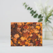 Carte Postale Autum Feuille (Debout devant)