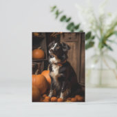Carte Postale Autumn Border Collie and Pumpkins (Debout devant)
