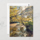 Carte Postale Autumn by the river (Devant / Derrière)