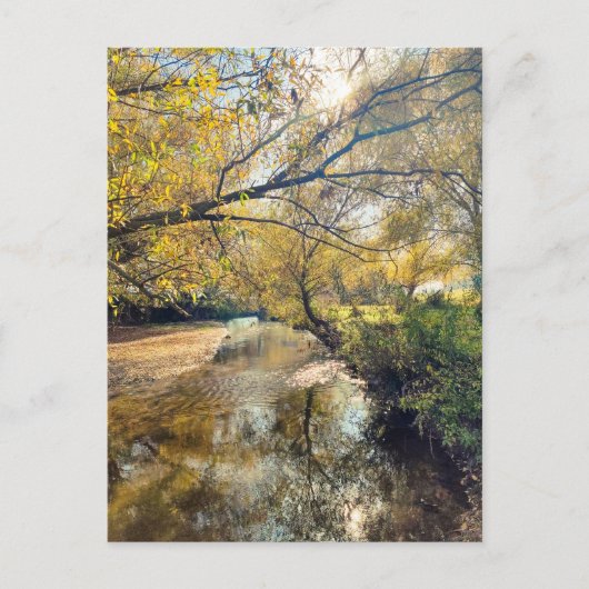 Carte Postale Autumn by the river (Devant)