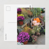 Carte Postale Autumn Decor (Devant / Derrière)
