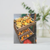 Carte Postale Autumn Decor (Debout devant)