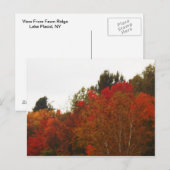 Carte Postale Autumn Field Adirondacks Paysage des arbres (Devant / Derrière)