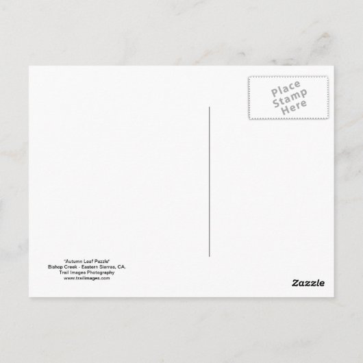 Carte Postale "Autumn Leaf Puzzle" (Dos)