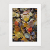 Carte Postale "Autumn Leaf Puzzle" (Devant)