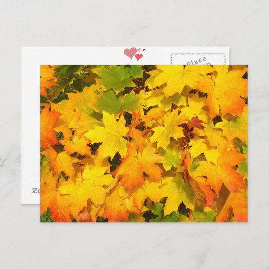 Carte Postale Autumn Leaf Tree Fall Nature Forest Destinée Saiso (Devant / Derrière)