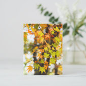 Carte Postale Autumn Leaves [Postcard] (Debout devant)