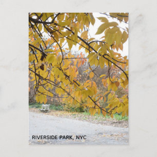 Carte Postale Autumn Leaves Riverside Park New York City NYC
