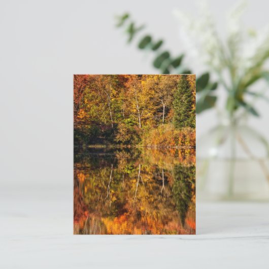 Carte Postale Autumn reflection on Coffin Pond (Debout devant)