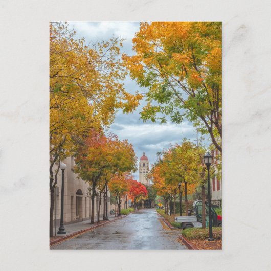 Carte Postale Autumn Scene at Stanford University Campus (Devant)
