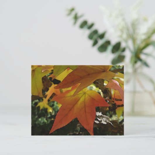 Carte Postale Autumn shades (Debout devant)