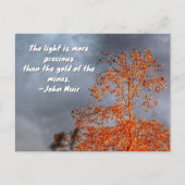 Carte Postale Autumn Tree Golden Light John Muir Nature Quote (Devant)