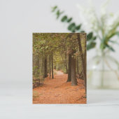 Carte Postale Autumn Walk (Debout devant)