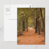 Carte Postale Autumn Walk (Devant / Derrière)