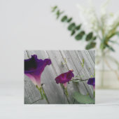 Carte postale aux fleurs violettes (Debout devant)