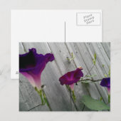 Carte postale aux fleurs violettes (Devant / Derrière)