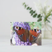 Carte postale aux fleurs violettes de papillon Bro (Debout devant)