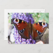 Carte postale aux fleurs violettes de papillon Bro (Devant / Derrière)