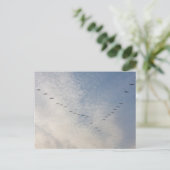 Carte postale aux oiseaux volants (Debout devant)