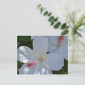 Carte postale aux parfums floraux (Debout devant)