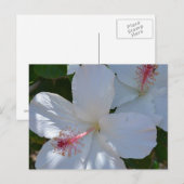 Carte postale aux parfums floraux (Devant / Derrière)