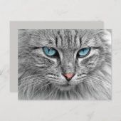 Carte postale aux yeux bleus (Devant / Derrière)