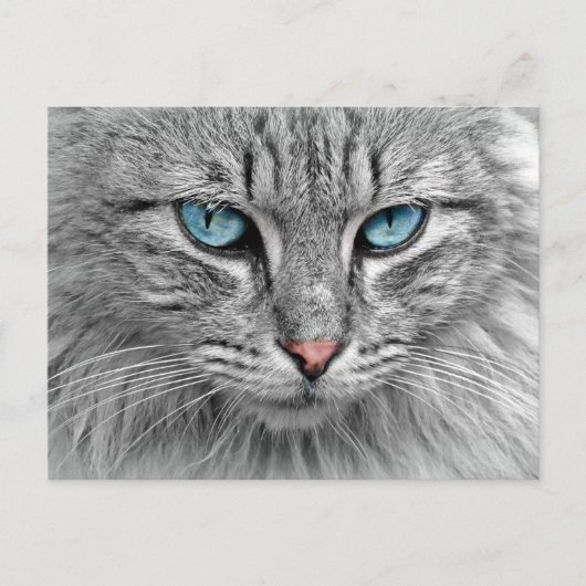 Carte postale aux yeux bleus (Devant)