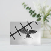 Carte postale avale et envolée (Debout devant)