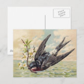 Carte Postale Avalée volante avec brindille de fleur (Devant / Derrière)