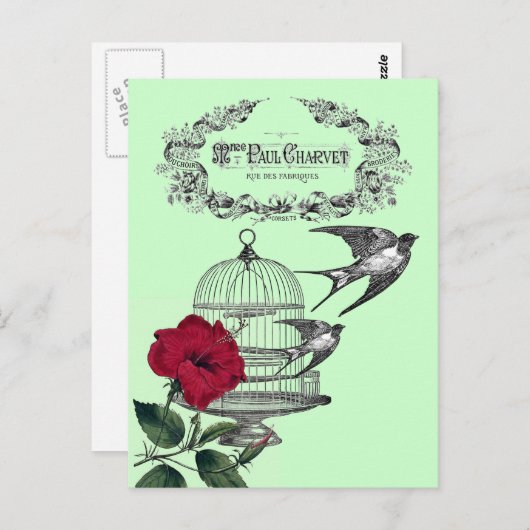 Carte Postale Avales en vol (Devant / Derrière)