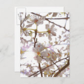 Carte Postale Avant 2014 (Devant / Derrière)