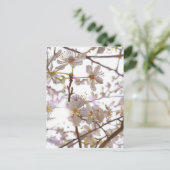 Carte Postale Avant 2014 (Debout devant)