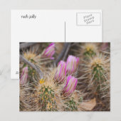 Carte Postale Avant les fleurs (Devant / Derrière)