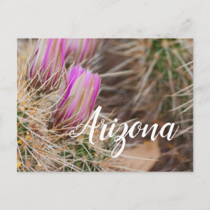 Carte Postale Avant les fleurs, Arizona