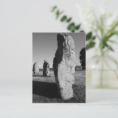 Carte postale Avebury Stone Circle (Debout devant)