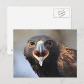 Carte postale avec Aigle d'or (Devant / Derrière)
