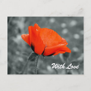 Carte postale Avec Amour clé de couleur
