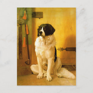 Carte Postale Avec Ancien Chien 1852 Peinture Impr