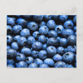 Carte postale avec bleuets (Devant)