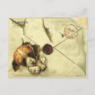 Carte postale avec boîte de rebut Vintage