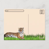 Carte postale avec boîte d'identité (Dos)