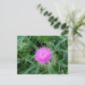 Carte postale avec chardon plein de vie. (Debout devant)