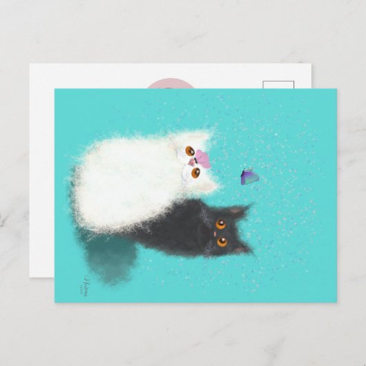 Carte postale avec chats (Devant / Derrière)